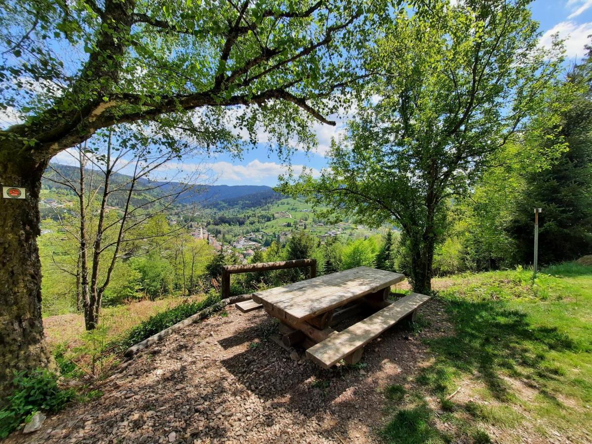 Gite Des 3 Jonquilles Saint-Maurice-sur-Moselle Exterior foto